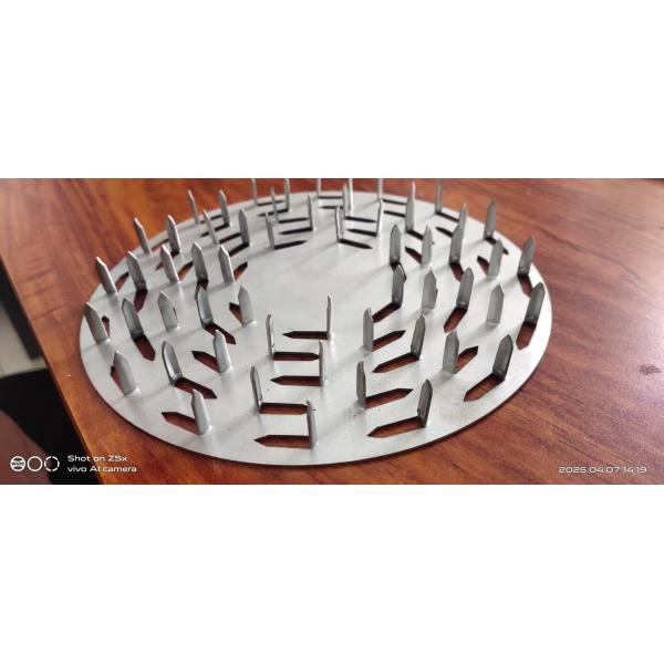 nail plate