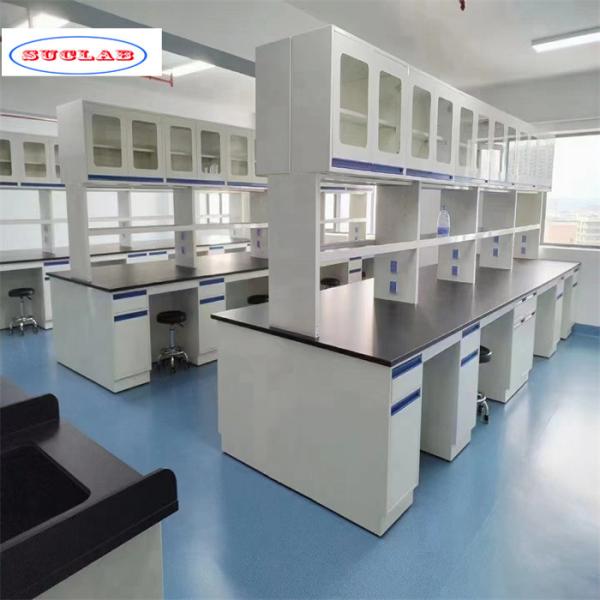 Quality Customizable Laboratory Workbench with Multiple Compartments and Racks As Drawing for sale