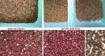 Dried Onion Slices Color Sorting Machine 320 Channels Vegetable Olive Cherry
