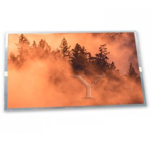  7.0-Inch WLED TFT LCD Display Module LW700AT9309 with 800*480 Resolution for Various Applications Custom ODM for LCD Modules Manufactures