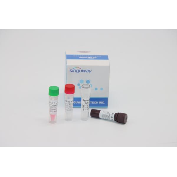 Quality Quantitative Molecular Diagnosis RT PCR Test Kit Real Time For HPV Tox Virus for sale