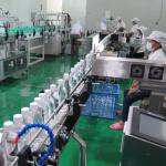 Automatic 5000BPH 500ml Bottle Rinsing Filling Capping Machine