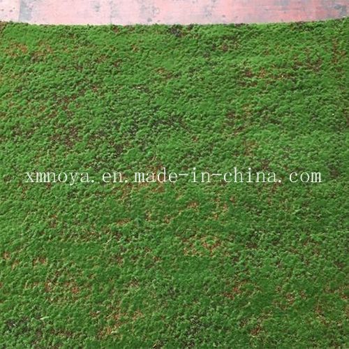 Customized Artificial Moss for Kindergarten Backyard Park Landscaping Customized Size