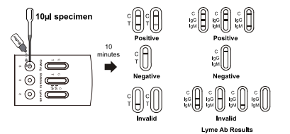 CHW Antigen / Ehrlichia / Lyme IgG/IgM Antibody Combo Rapid Test