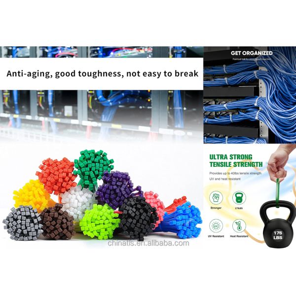 2.5*100mm Plastic Wire Straps Self Locking Plastic Cable Straps