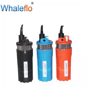  Whaleflo  6LPM  Submersible Borehole Solar Powered Stainless steel/plastic Water Pump 12v/24v DC  for irrigation Manufactures