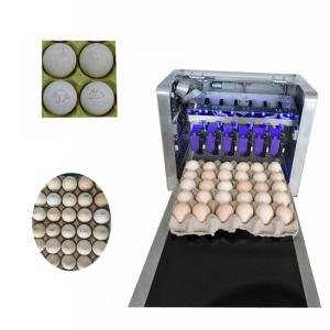 High Resolution Batch And Date Coding Inkjet Printer For Whole Plate Eggs
