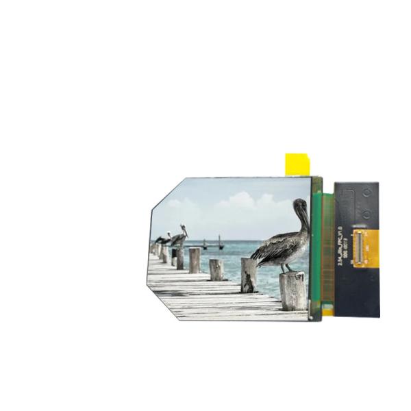 2.54 Inch VR LCD Display