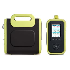 Built-In Pump Gas Sampling Faster Response Gas Detector Equipped With Multi