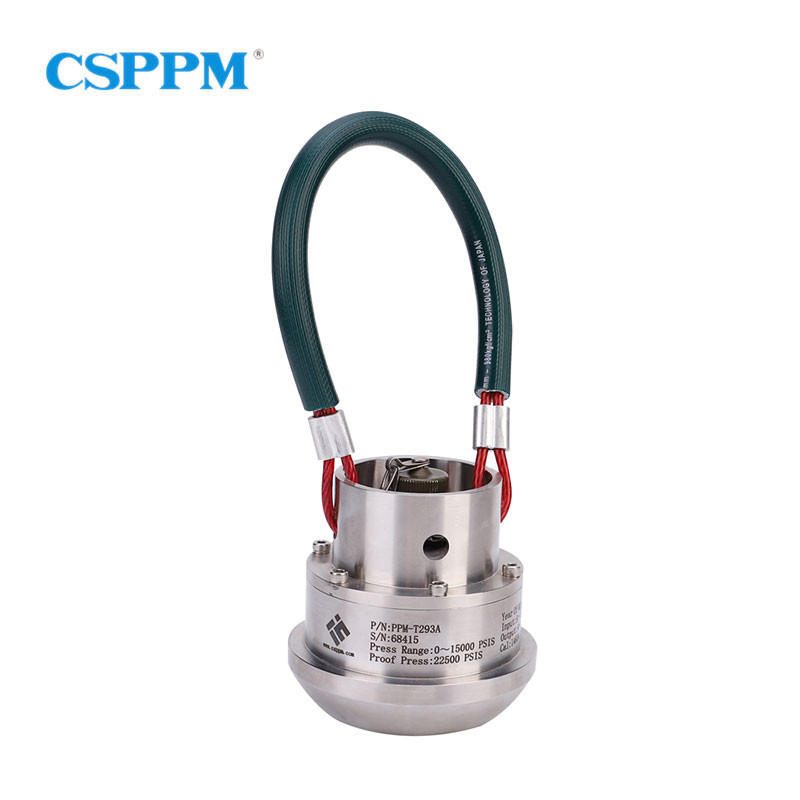 Rugged Solution Hammer Union Pressure Transmitter Oil and Gas Applications