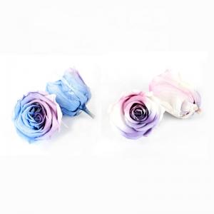 Beautiful Colorful Preserved Rose Heads Elegant For Home Decoration