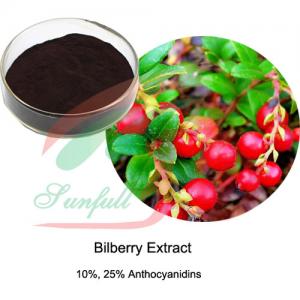 China Natural Bilberry Fruit Extract Powder 5% 10% 25% Anthocyanidins on sale