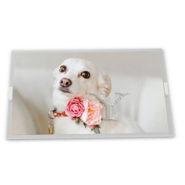 Quality TM080RDHG90 8inch TFT LCD Display Modules Gold supplier Rectangular screen Complete range of industrial screens for sale