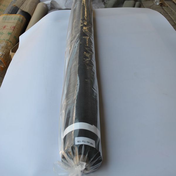 Waterproof 65 Micron Black Color Polyester Screen Mesh with Custom Width and Length