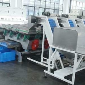 Professional Walnut Kernel Grading System Features Servo Control For Fast
