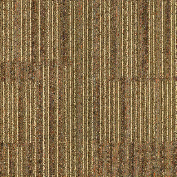 modern Hotel carpet
