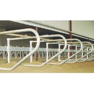 Floating Neck Rail and Flexing Loops Dairy Cattle Freestand System for Durable