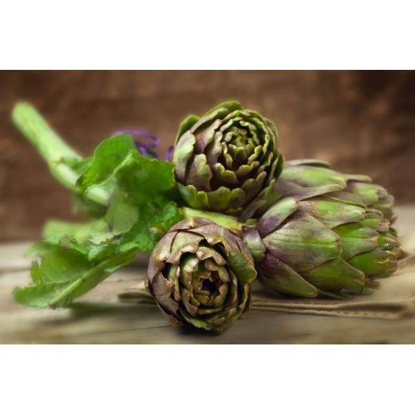 100% natural Herb Artichoke Extract 5% Cynarin powder