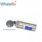 Whaleflo WEL1260-30 Stainless Steel 12 Volt Submersible Tube Well Water Pump