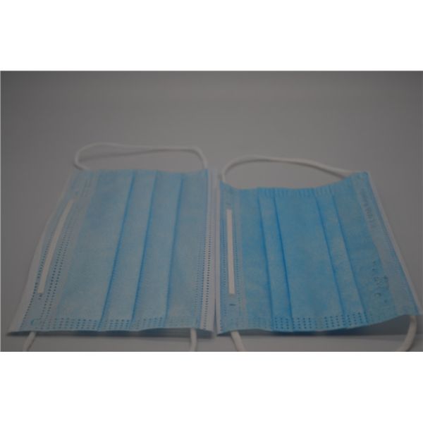 Blue Protective Polypropylene Disposable Earloop Face Mask