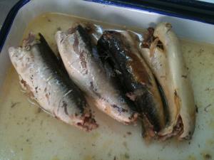  EU Certified Mackerel Canned Fish In Brine High Heart Healthy Omega - 3 Fatty Acids Manufactures
