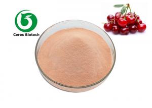 Natural 10/1 80 Mesh Cherry Fruit Juice Powder Food Grade Manufactures