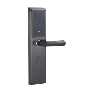 WiFi Enabled Electronic Smart Lock Get This Function Via Gateway
