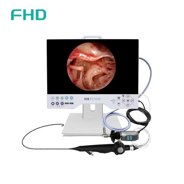Quality 15'' All-in-One Full HD Endoscopy Camera System with Built-in LED Light Source for ENT and Urological Surgical Applications for sale