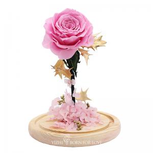  4cm-5CM Preserved Rose Glass Dome For Thanksgiving Day Manufactures