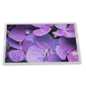  M238HAN02.0 LCD 23.8 inch a-Si TFT-LCD Rectangular Screen Lcd Module Display Elevator Display Manufactures