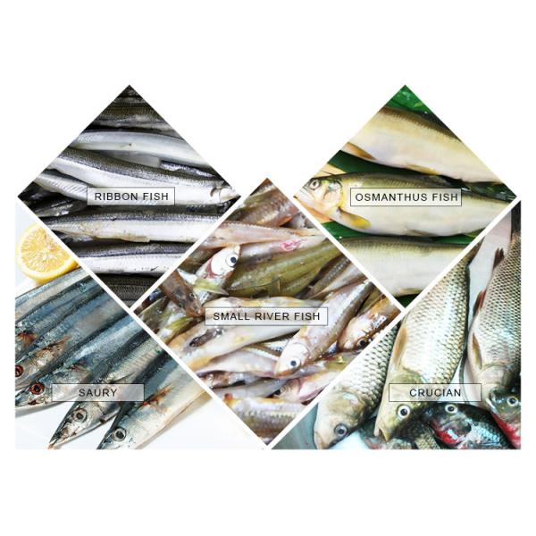 Automatic Seafood Processing Machinery Cleaning Cutting And Killing Integrated