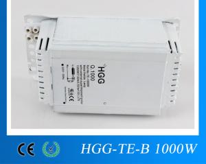  Low Lose Long Life Time Magnetic Electronic Ballast For Fluorescent Lamps Manufactures