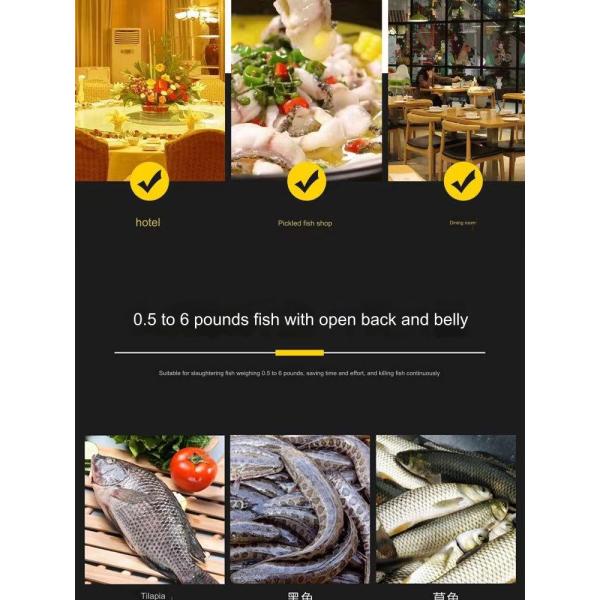 Restaurant Automatic Fish Cleaning Machine with Continuous Fish Killing Function