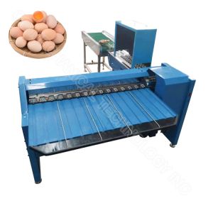 Automatic Egg Sorter Egg Sorting Grading Machine Portable Egg Sorting Machine