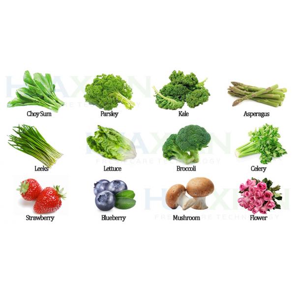 New Vegetable Processing Cooling Machine, Good Refrigerator Compressor Cooling Equipment