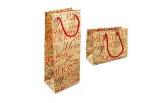  Stylish C2s Paper Packaging Bags For Promotion, Printed Paper Hand Bag For Gift Packing Manufactures