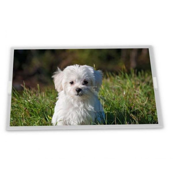 COG-VLBOT018-03 8inch TFT LCD Display Modules Quality supplier Rectangular