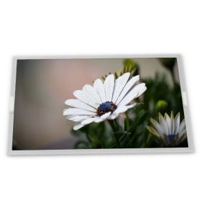 LM238WF6-SSA2 23.8 TFT LCD Display Modules supplier lcd panel supplier lcd panel