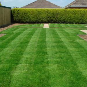  35mm Synthetic Artificial Grass , Anti UV Garden Turf Grass For Yard Manufactures