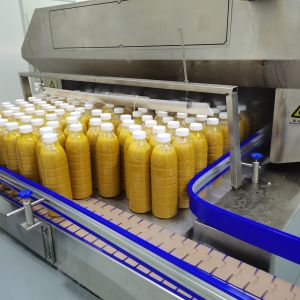 Fully Automatic Mango Juice Processing Line Machine For Mango Processing Factory