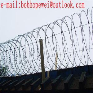  razor wire mesh/razor wire/concertina wire/razor wire fence/razor wire for sale/razor fence/concertina razor wire Manufactures