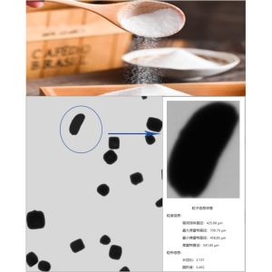 Portable Dynamic Image Grain Size Analyzer with 10-2500 μm Measurement Range and