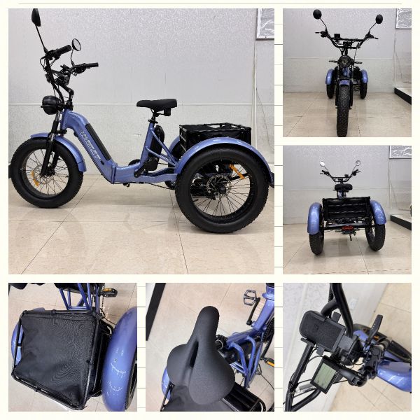 Multifunctional Electric E Tricycle Adjustable Handlebar + 7 Speed Shifting