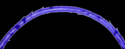 Effective absorbable PDO 4D/3D COG thread with blunt cannula needle