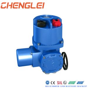 Subsea Angular 1/4 Turn Electric Actuator with Explosion Proof and Thermal