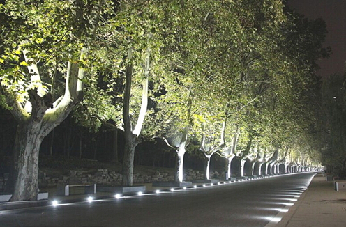 Waterproof IP65 LED Flood Light