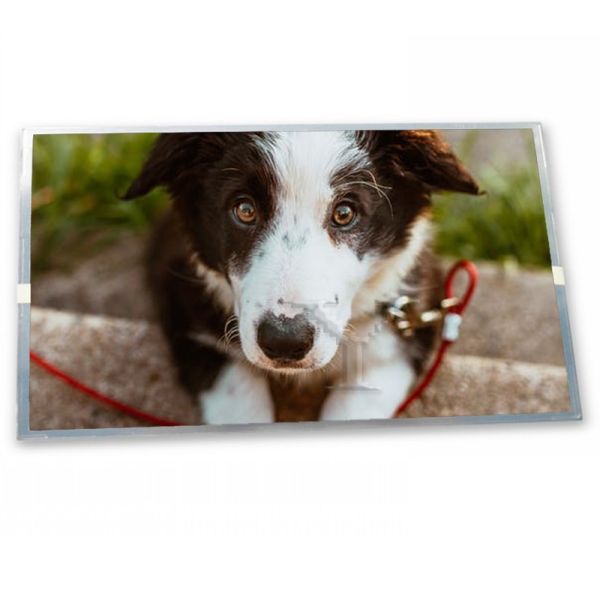 G220SVN01.0 Modules New 22.0-Inch WLED Customizable LCD Display Module with 1680