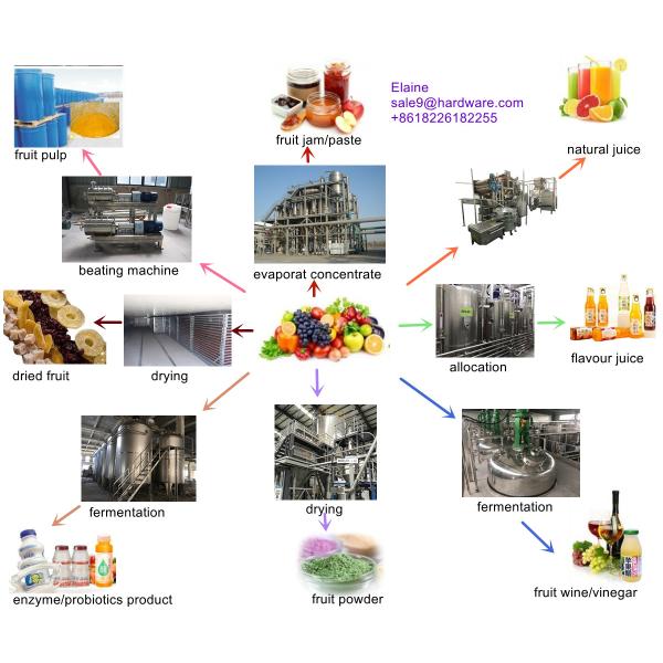 Dried Fruit Mango Processing Line One Ton Per Day Bag Packing
