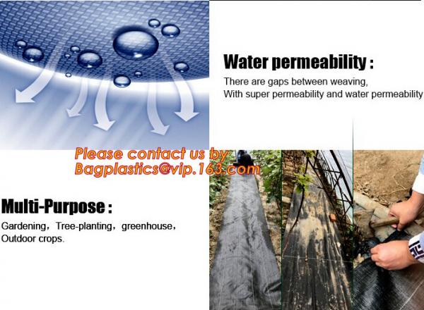 Perforated silver black mulch film for crop production,vegetable garden black / gray perforated mulch layer plastic mulc