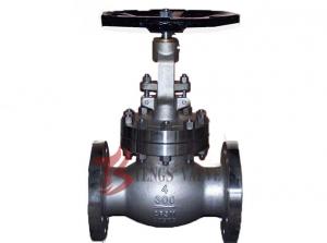  Cast Stainless Steel Industrial Globe Valve A351 CF8 / CF8M J40W Manual Manufactures